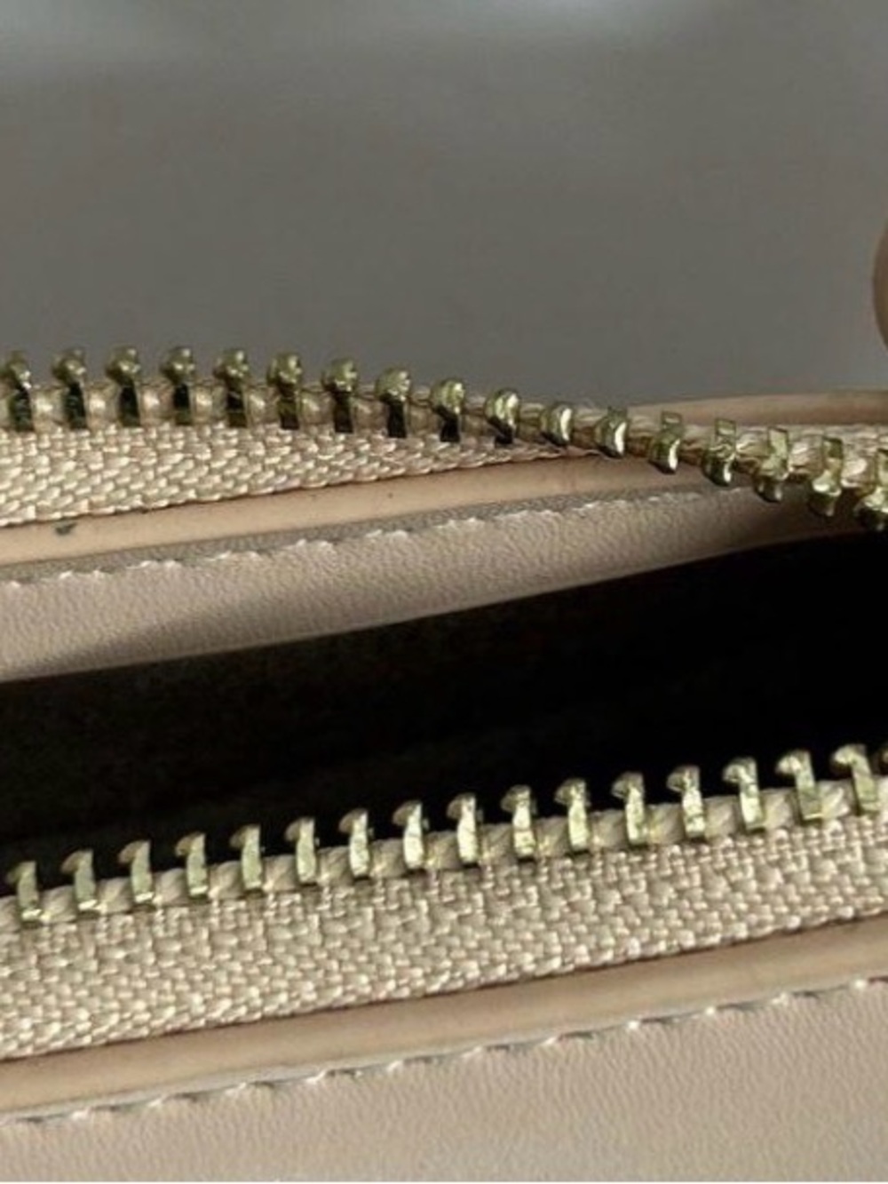 Polene Crescent Shoulder Bag In Beige View 4